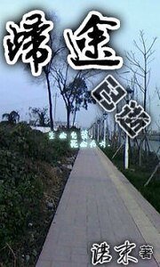 (獵人同人)歸途已逝
