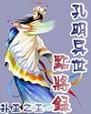 《重生之孔明異世點將錄》