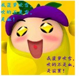 （综武侠同人）菠萝要吹雪！