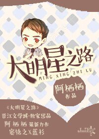 《大明星之路》