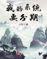 我的系統要分期