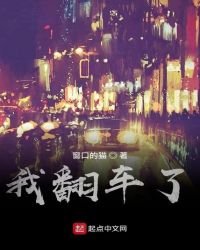 我翻車了