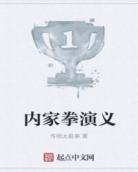 內家拳演義