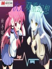 《次元雙重幻想》