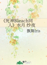 死神Bleach同人