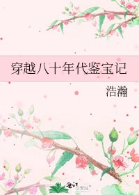 穿越八十年代鑑寶記