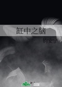 《缸中之腦》