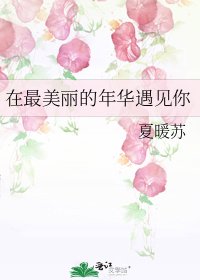 《在最美麗的年華遇見你》
