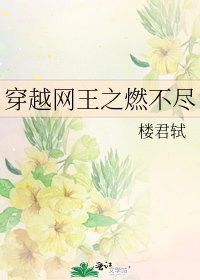《穿越網王之燃不盡》