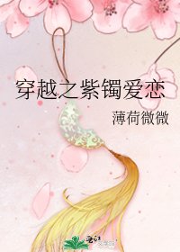 《穿越之紫鐲愛戀》