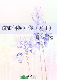 《該如何挽回你(網王)》