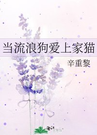 当流浪狗爱上家猫