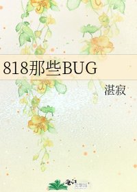 《818那些BUG》