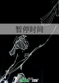 《暫停時間》